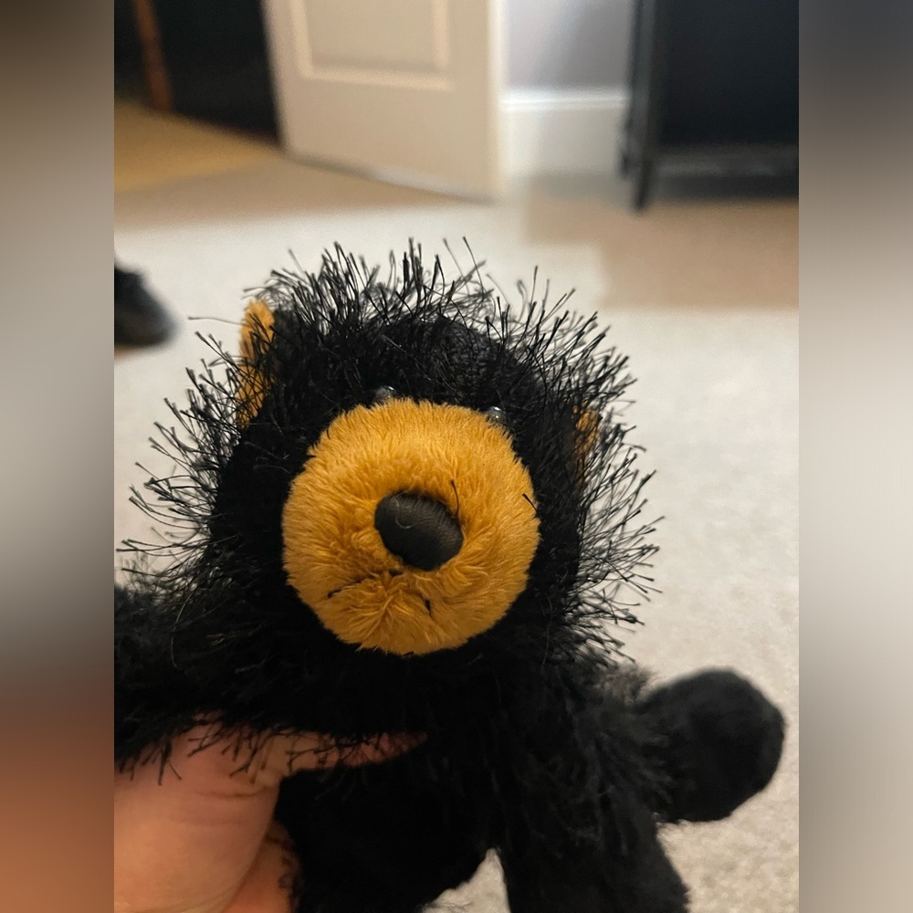 LIKE NEW GANZ WEBKINZ BLACKK BEAR